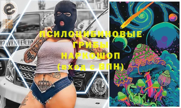 прущие крисы Мамадыш